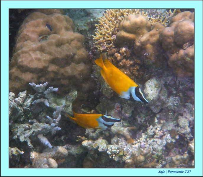 2009    07    Manatabuan 33